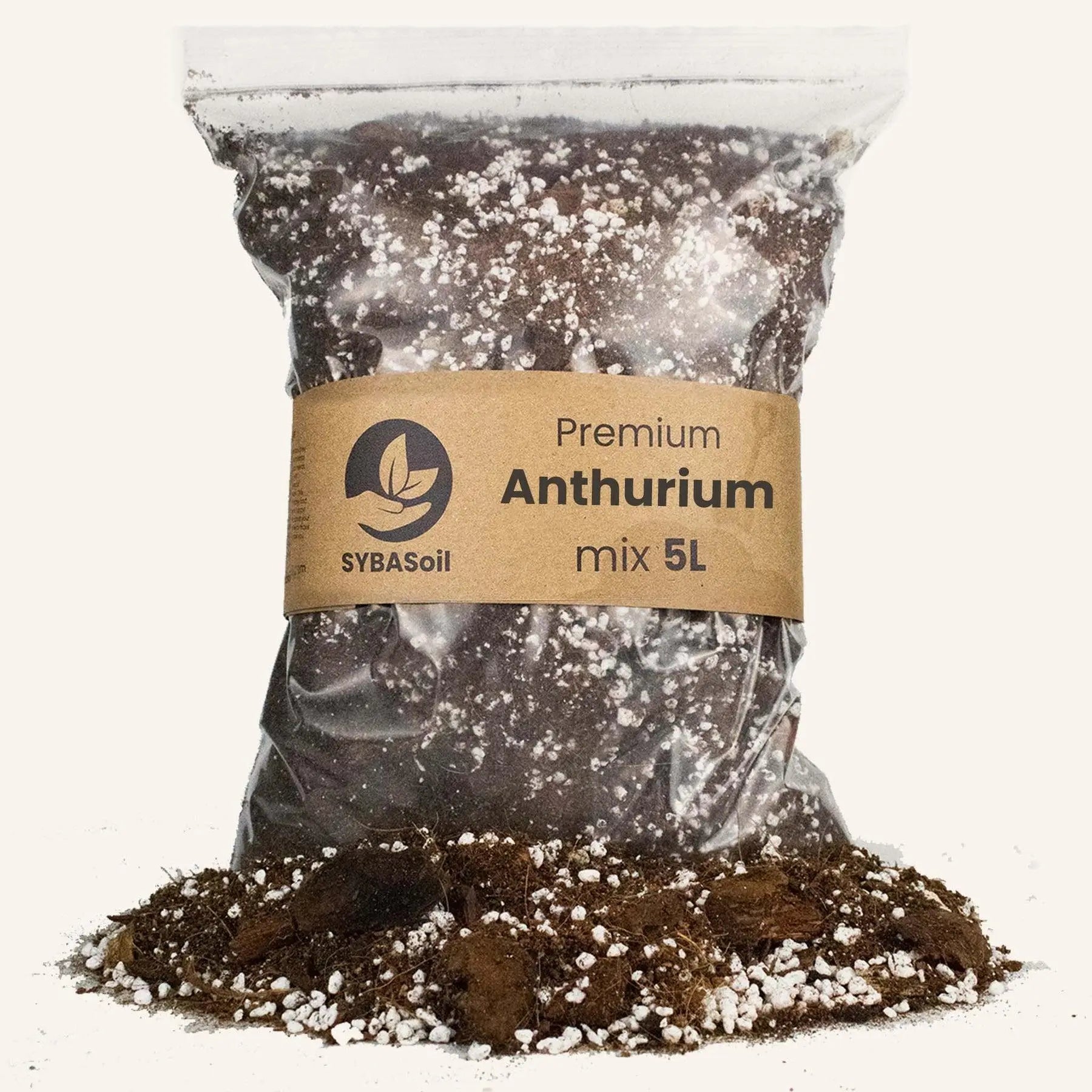 Anthurium mix 5L