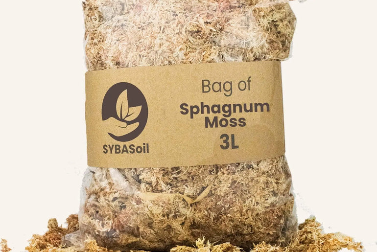 Sphagnum mos 3L