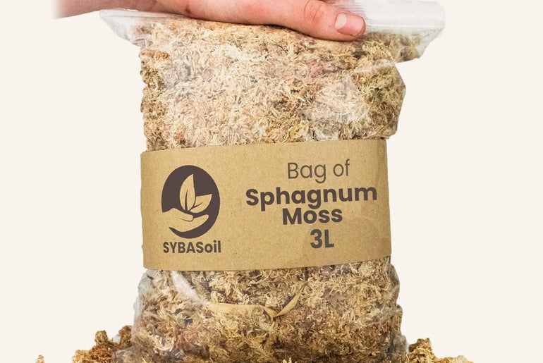 Sphagnum mos 3L