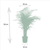 Areca palm - Ø24cm - ↕130cm Everspring