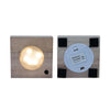 Clusia in Samoa glas met LED verlichting - Ø4cm - ↕10cm Everspring