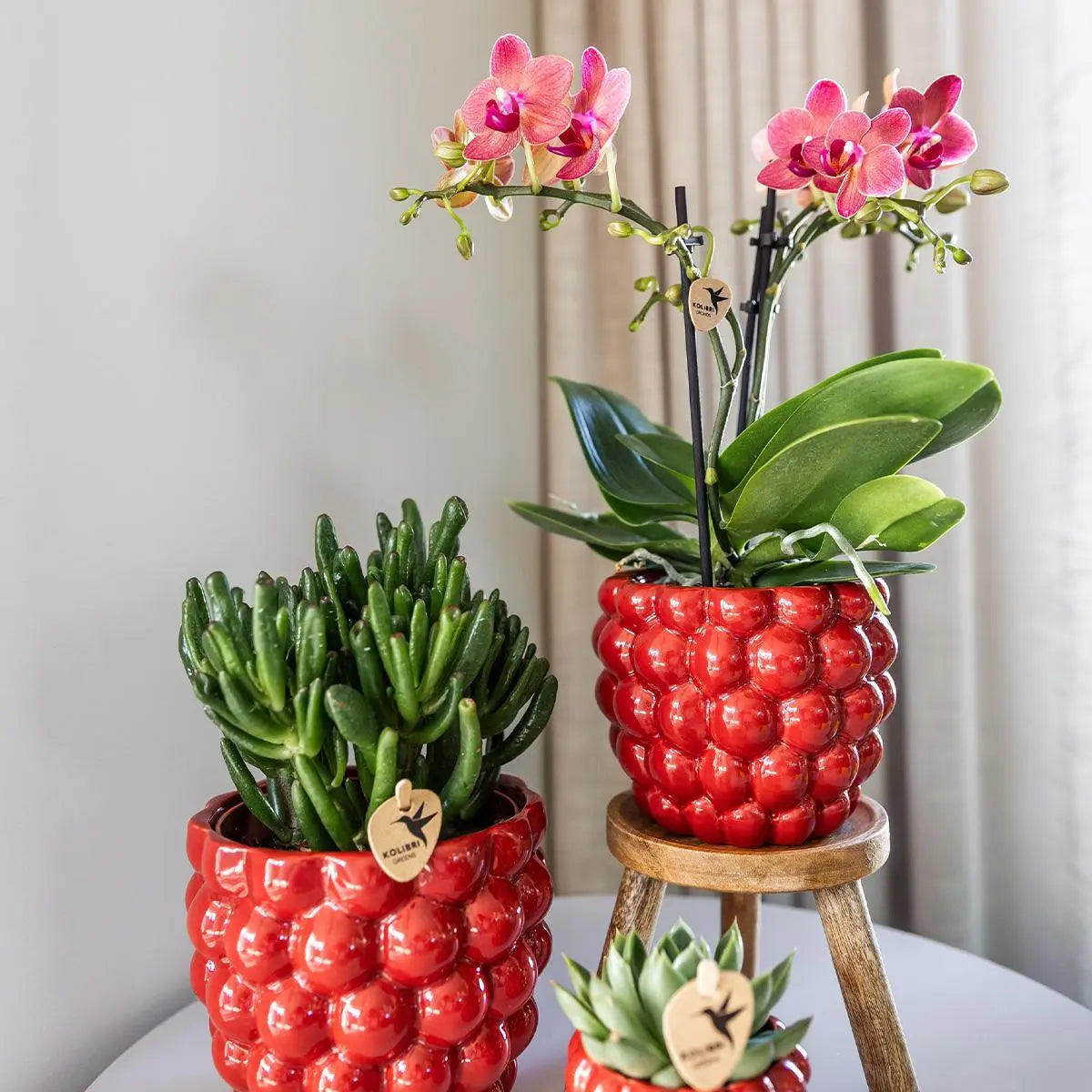 Kolibri Home | Berry pot - 12cm Everspring