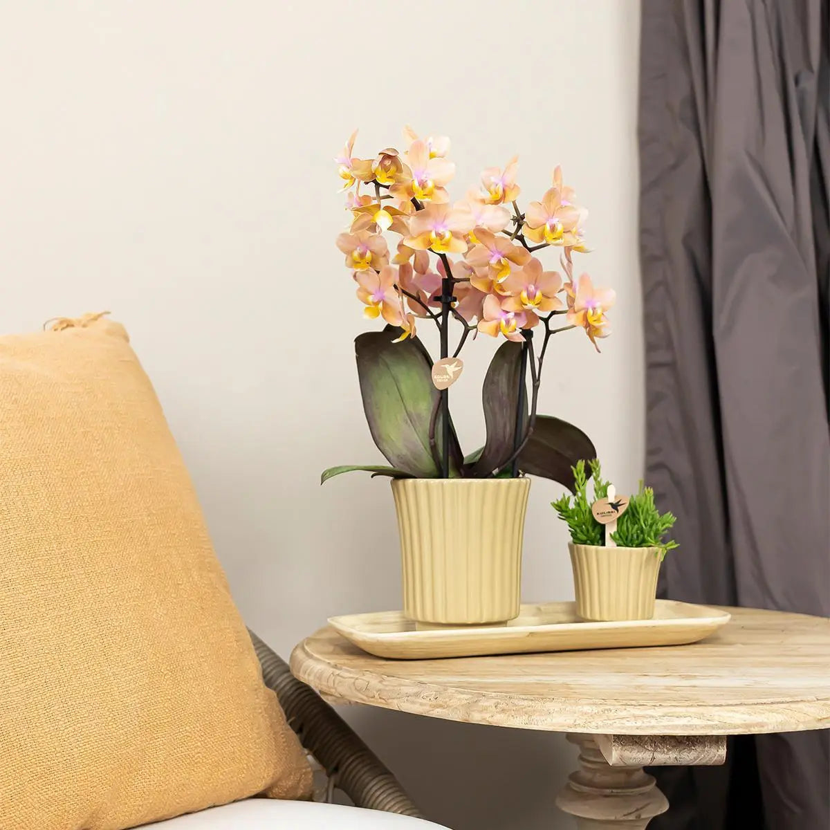 Kolibri Home | Retro khaki bloempot - khaki kleurige keramieken sierpot - Ø6cm Everspring
